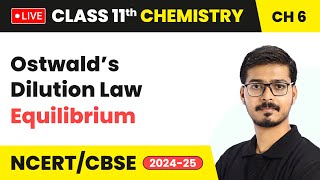 Ostwald’s Dilution Law  Equilibrium  Class 11 Chemistry Chapter 6  CBSE 202425 live [upl. by Farand792]