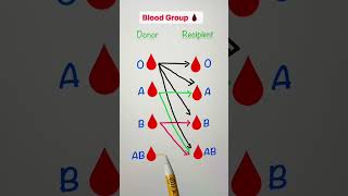 Whats Your Blood Group  Blood Group  Type of Blood Group  Blood Group Information [upl. by Jaine]