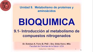 Clase Teórica Bioquímica 91  introducción al metabolismo de compuestos nitrogenados [upl. by Cathrine]