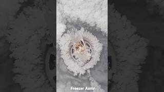 Humidifier freezer frost ASMR [upl. by Veta]