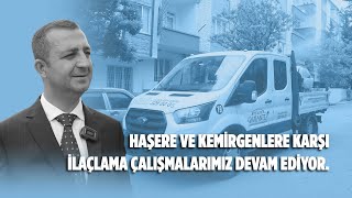 Artan sinek sivrisinek ve böceklere karşı ekiplerimiz çalışmalarına devam ediyor 🐜🪰 [upl. by Hnoj]