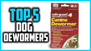 ✅Top 5 Best Dog Dewormers in 2024 [upl. by Nylloh]