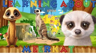 Animals for Kids MeerKat Savanna Animals  Learning for Kids animalsforkids [upl. by Ahsele515]