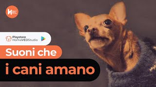 5 Suoni che i Cani Amano  Suoni per Cani [upl. by Laveen]