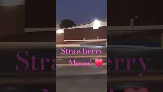 Strawberry moon💗strawberry moon [upl. by Lawley]