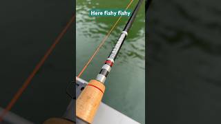 salmon fishing  Trolling shortbus flashers Morgan’s custom Rods [upl. by Egoreg]