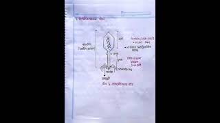 Hsc Biology chapter 4 Part 2 [upl. by Yelekalb]