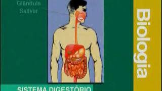 A 03  Sistema Digestivo  Biologia  Vestibulando Digital [upl. by Coughlin431]