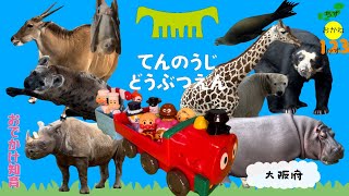 天王寺動物園大阪【おでかけ知育シリーズ3】動く動物、数、お金、地図楽しく学べる通天閣天保山シロクマ [upl. by Dugan]