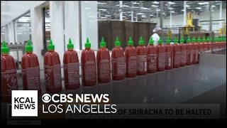 Sriracha production is halted until after Labor Day [upl. by Fredel]