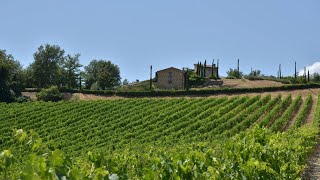 VIGNALE  Villas in Lecchi in Chianti Siena Tuscany [upl. by Hcahsem]