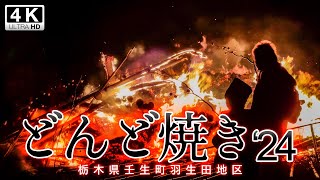 どんど焼き2024年 （栃木県壬生町） [upl. by Ym]