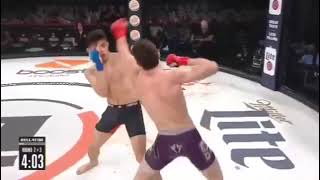 Bellator fight Highlights [upl. by Nahtad510]