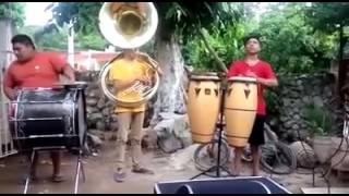 El Microbito Banda Brava de muna yucatán [upl. by Felicio]