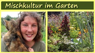 Mischkultur 🌱🌷🍀 Pflanzengesundheit │ Permakultur │Garten [upl. by Eidurt]