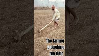 The farmer ploughing the fieldAmazing World Views [upl. by Ahsirtap]