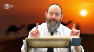 Rabbi David Kaplan  Weekly Torah Portion Bamidbar  Part 1 [upl. by Kelula]