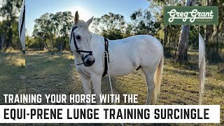 Training Your Horse with the EquiPrene Lunge Training Surcingle  Greg Grant Saddlery [upl. by Ricard]