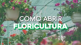 COMO ABRIR UMA FLORICULTURA [upl. by Fontes]