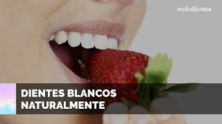 Blanquea tus dientes en casa con estos 6 remedios naturales [upl. by Sutherlan]