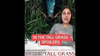 In the Tall Grass 2019 Full Movie Spoilers [upl. by Thaine]