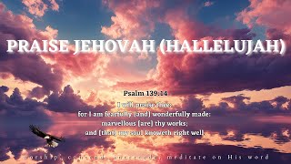 Praise Jehovah Hallelujah  Worship amp Intercession String Instrumental [upl. by Broderic]