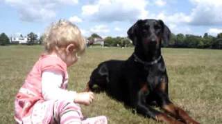 Doberman protects baby toddler at the park MUST SEE [upl. by Annoyik]