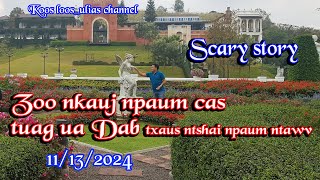 Zoo nkauj npaum cas tuag ua Dab txaus ntshai npaum ntawv 11132024 [upl. by Veejar]