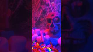 New tank mates  New tank setup  Colour full fishes  Best tank for beginners  happyfish 😄 [upl. by Lucretia]