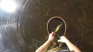 October Brown Trout on the Upper Delaware River Fly Fishing [upl. by Eerok621]