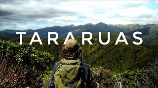 Solo Hike and Camp  Tararua Ranges Te Matawai Hut Overnight [upl. by Hinson864]