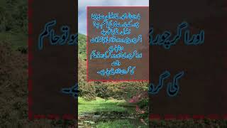 Haroon Rasheed Ne Behlol Dana Sy Pocha islamicquotes allah [upl. by Bethena]