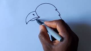 How To Draw A Bald Eagle  Easy Drawing Tutorial [upl. by Addie328]