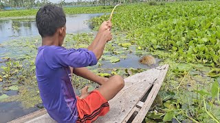 Best Hook Fishing  Hook Fishing With Boat  Fishing with Beautiful Nature [upl. by Pahl675]