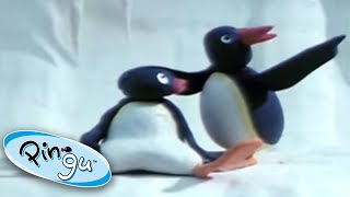 Pingus Icy Adventure  Pingu  Cartoons for Kids [upl. by Handel]