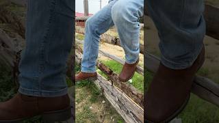 How To Wear Cowboy Boots  Ultimate Guide To The Western Boot  Jsole Cowboy Boot cowboyboots [upl. by Valley839]