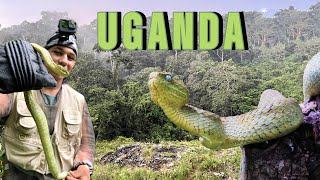 LOS DRAGONES EXISTEN Encontramos una VÍBORA de fantasía Uganda parte 4 [upl. by Anton658]