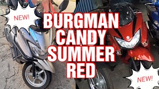 CANDY RED BURGMAN 2024 [upl. by Wylma]