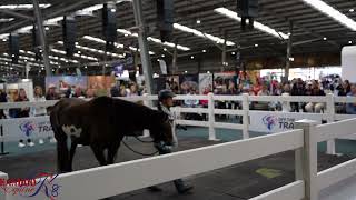 Equitana Melbourne 2024 Give to the Bit [upl. by Xela]