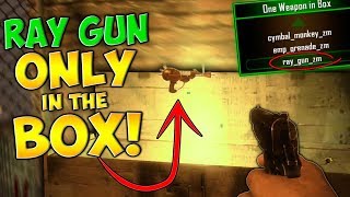 RAY GUN ONLY IN THE MYSTERY BOX MOD Zombie Mod Trolling [upl. by Fanchet]