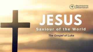 Who does Jesus think He is Luke 533611 [upl. by Joung]