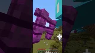 Protecting Villager vs Luck 3322 Moment meme shorts minecraft [upl. by Hamon]