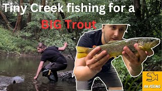 Ribolov na malom Potoku Pastrmka 40 😱 Tiny Creek Fishing for BIG TROUT [upl. by Sharyl]