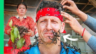 Tarantula Catch and Cook 10 Levels of Bug Eating in Asia [upl. by Lynette]