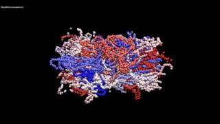 Atomistic Deformation of Amorphous Polyethylene [upl. by Conrad]