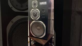 YAMAHA NS1000M 1 [upl. by Einnol]