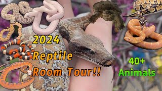 2024 Reptile Room Tour [upl. by Saville]