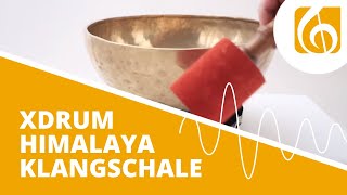 XDrum Himalaya Klangschale 39cm5800g [upl. by Naenaj]