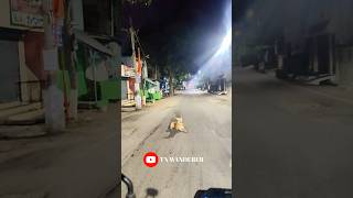 Dog vs bikers  Dog attacked me shorts superbike yamahamt15 shortvideo dogshorts dog feed [upl. by Isahella]