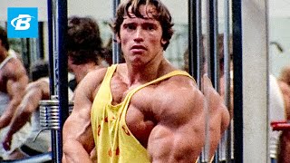 Best Bodybuilder of All Time  Arnold Schwarzeneggers Blueprint Training Program [upl. by Hgeilyak194]